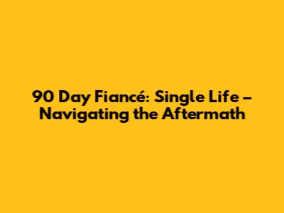 90 Day Fiancé: Single Life – Navigating the Aftermath