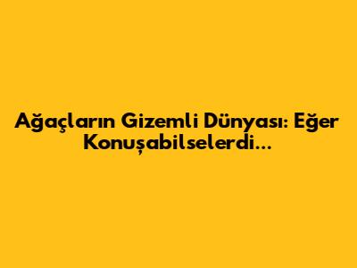Ağaçların Gizemli Dünyası: Eğer Konuşabilselerdi...