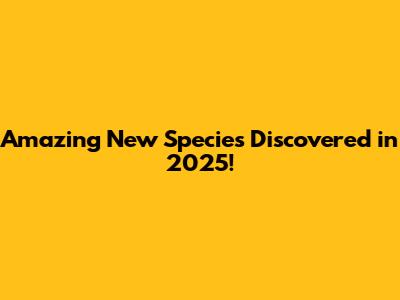 Amazing New Species Discovered in 2025!