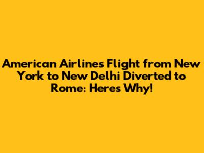 American Airlines Flight from New York to New Delhi Diverted to Rome: Here's Why!