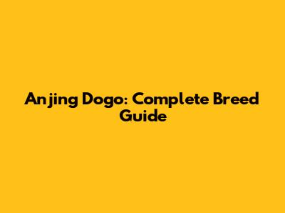 Anjing Dogo: Complete Breed Guide