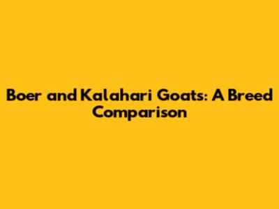 Boer and Kalahari Goats: A Breed Comparison