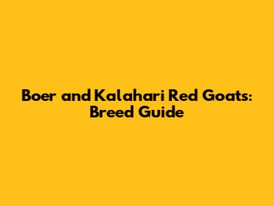 Boer and Kalahari Red Goats: Breed Guide