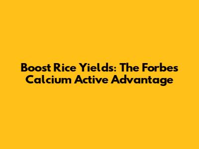 Boost Rice Yields: The Forbes Calcium Active Advantage