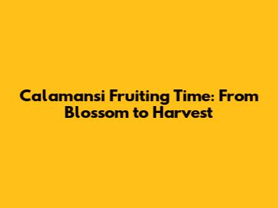 Calamansi Fruiting Time: From Blossom to Harvest