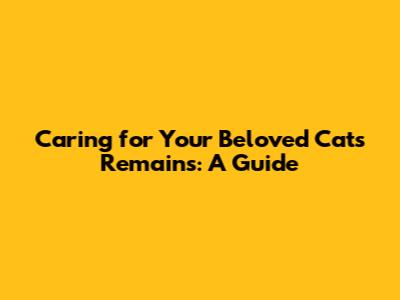Caring for Your Beloved Cat's Remains: A Guide