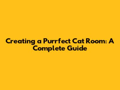 Creating a Purrfect Cat Room: A Complete Guide