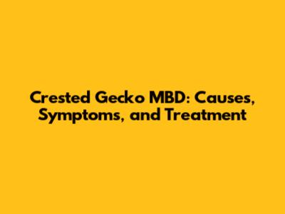 Crested Gecko MBD: Causes, Symptoms, and Treatment