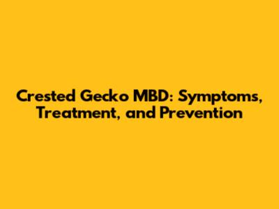 Crested Gecko MBD: Symptoms, Treatment, and Prevention