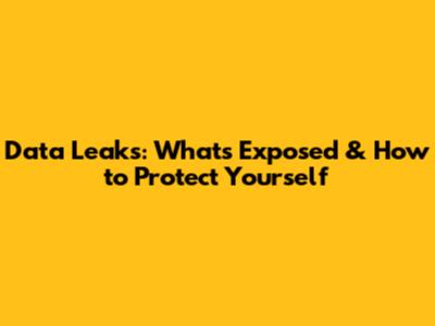 Data Leaks: What's Exposed & How to Protect Yourself