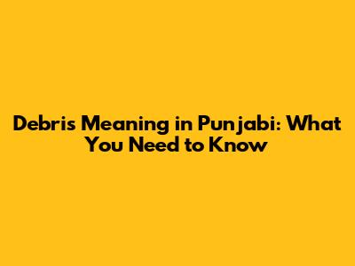 Debris Meaning in Punjabi: What You Need to Know