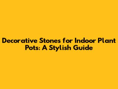 Decorative Stones for Indoor Plant Pots: A Stylish Guide