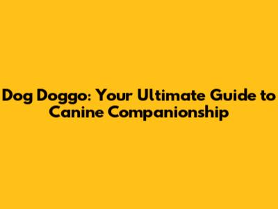 Dog Doggo: Your Ultimate Guide to Canine Companionship