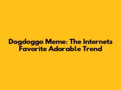 Dogdoggo Meme: The Internet's Favorite Adorable Trend