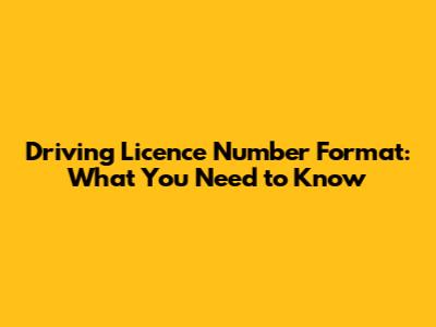 Driving Licence Number Format: What You Need to Know