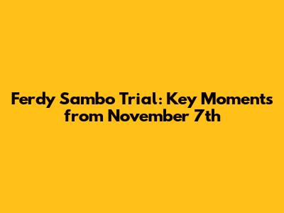 Ferdy Sambo Trial: Key Moments from November 7th