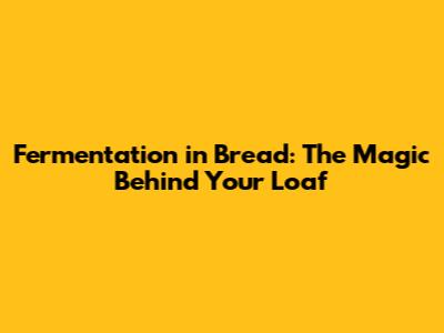 Fermentation in Bread: The Magic Behind Your Loaf