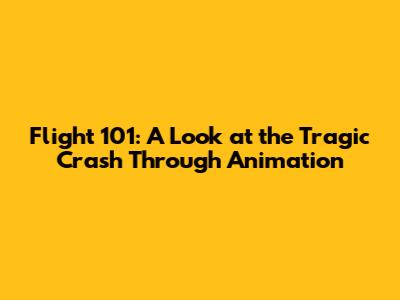 Flight 101: A Look at the Tragic Crash Through Animation