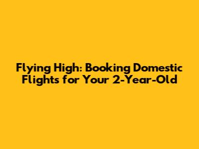Flying High: Booking Domestic Flights for Your 2-Year-Old