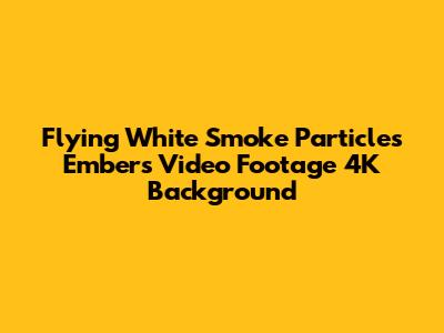 Flying White Smoke Particles Embers Video Footage 4K Background
