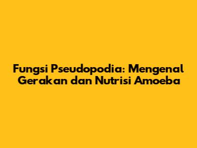 Fungsi Pseudopodia: Mengenal Gerakan dan Nutrisi Amoeba
