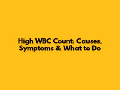 High WBC Count: Causes, Symptoms & What to Do