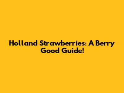 Holland Strawberries: A Berry Good Guide!