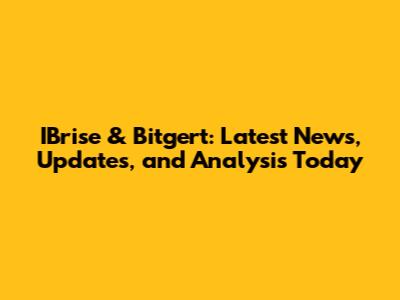 IBrise & Bitgert: Latest News, Updates, and Analysis Today