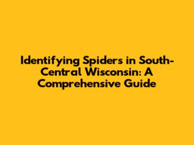 Identifying Spiders in South-Central Wisconsin: A Comprehensive Guide