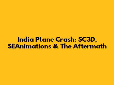 India Plane Crash: SC3D, SEAnimations & The Aftermath