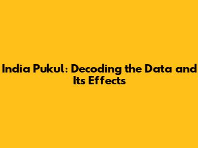 India Pukul: Decoding the Data and Its Effects
