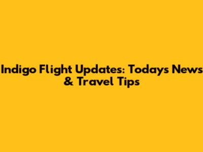 Indigo Flight Updates: Today's News & Travel Tips