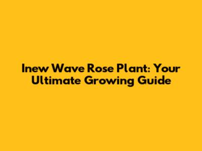 Inew Wave Rose Plant: Your Ultimate Growing Guide