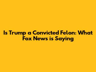 Is Trump a Convicted Felon: What Fox News is Saying