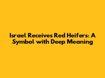 Israel Receives Red Heifers: A Symbol with Deep Meaning