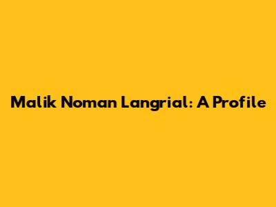 Malik Noman Langrial: A Profile