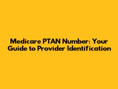 Medicare PTAN Number: Your Guide to Provider Identification