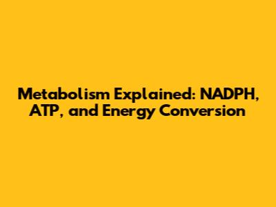 Metabolism Explained: NADPH, ATP, and Energy Conversion