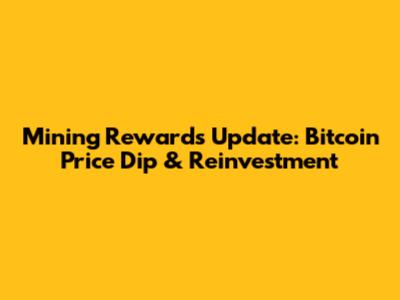 Mining Rewards Update: Bitcoin Price Dip & Reinvestment