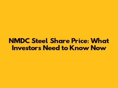 NMDC Steel Share Price: What Investors Need to Know Now