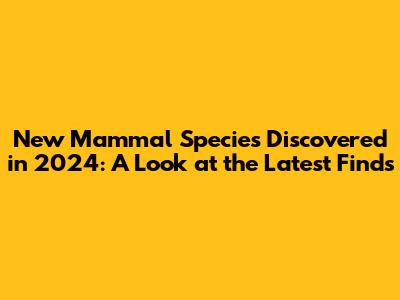 New Mammal Species Discovered in 2024: A Look at the Latest Finds