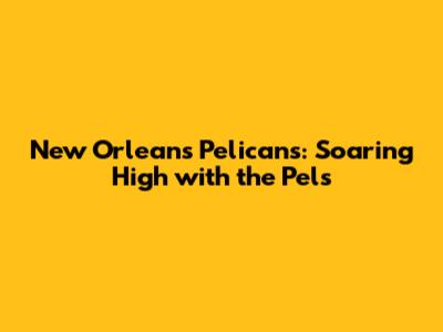 New Orleans Pelicans: Soaring High with the Pels