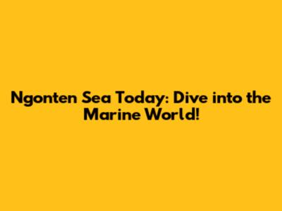 Ngonten Sea Today: Dive into the Marine World!