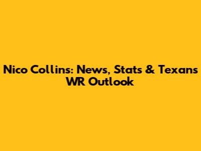 Nico Collins: News, Stats & Texans' WR Outlook