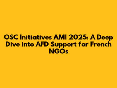 OSC Initiatives AMI 2025: A Deep Dive into AFD Support for French NGOs