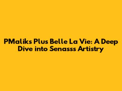 PMalik's 'Plus Belle La Vie': A Deep Dive into Senass's Artistry