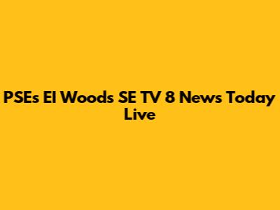 PSE's EI Woods SE TV 8 News Today Live