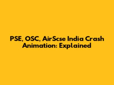PSE, OSC, AirScse India Crash Animation: Explained