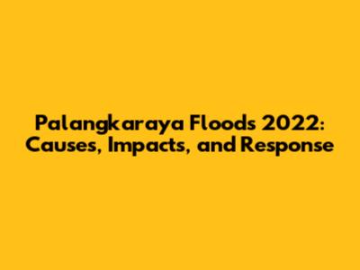 Palangkaraya Floods 2022: Causes, Impacts, and Response