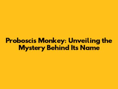 Proboscis Monkey: Unveiling the Mystery Behind Its Name